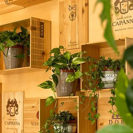 بيت ضيافة Salus 3*